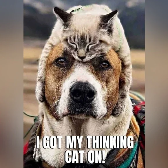 125 PICKS BEFORE I GOT CUT OFF!😻Y’ALL ROCK!🤘🏼TY FOR THE POSH LOVE/SHARES♥️🌷 - Picture 4 of 9